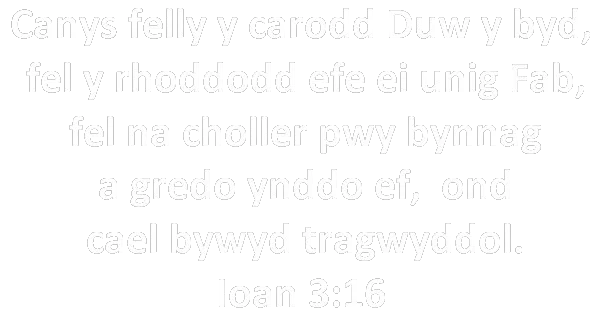 Adnod o’r Beibl Ioan 3:16